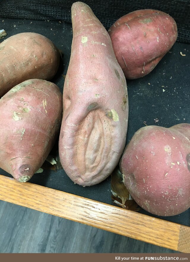 [OC] I too have found an oddly shaped sweet potato!