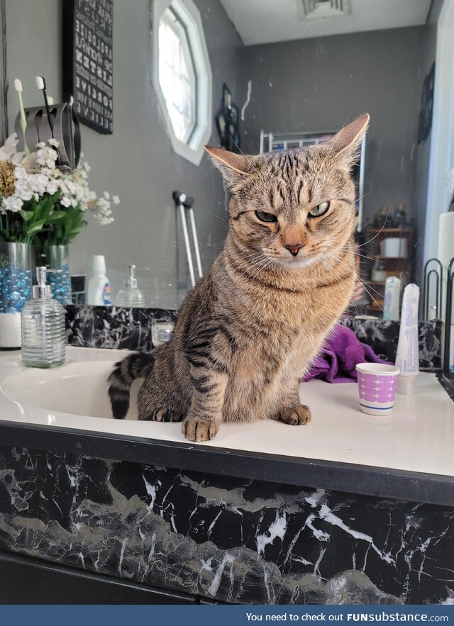 Anyone else's cat use the sink for pee's?