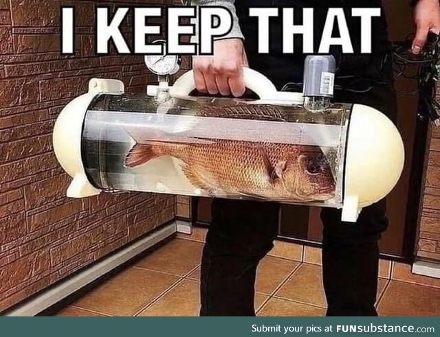 Fishy Fun #71: Meme Edition