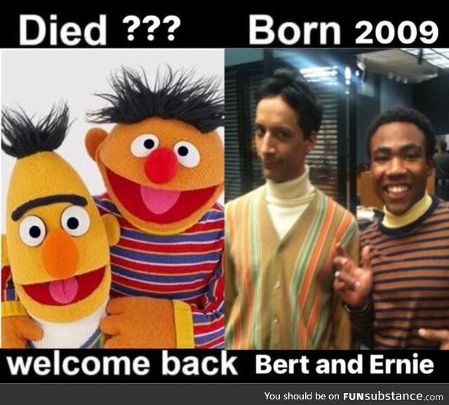 Bert and Ernie College AU