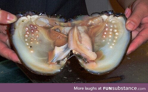 A Clam with Pearls