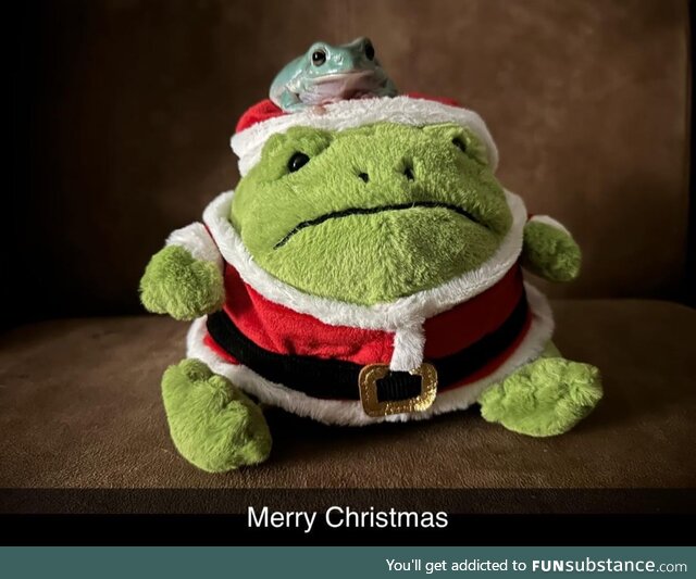 Froggos '23 #321 - Santa Frog Has Arrived