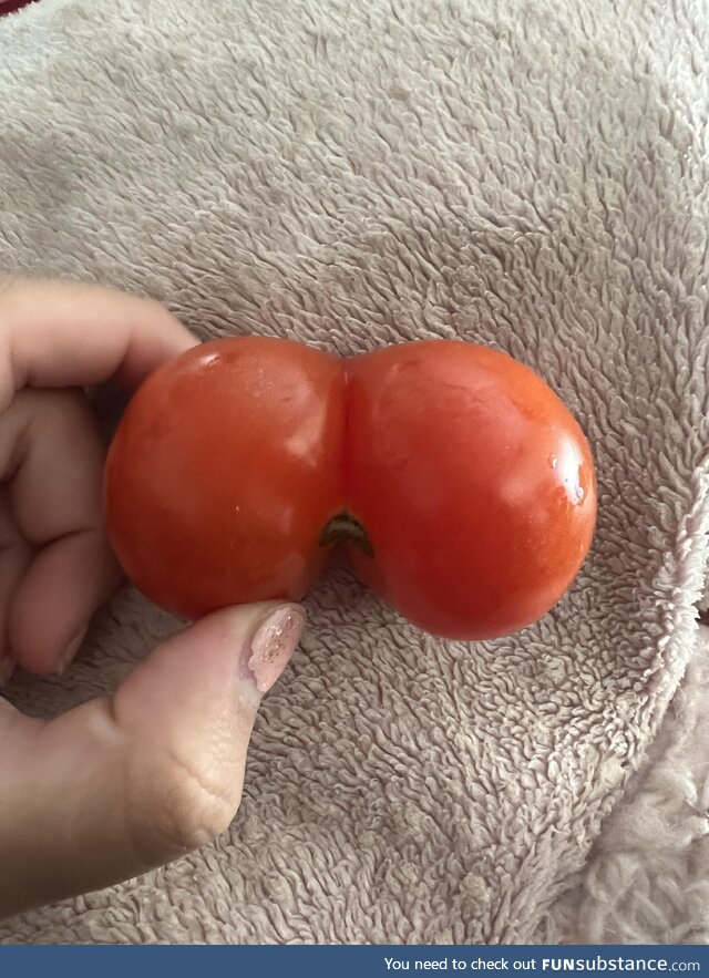 Found an odd looking tomato