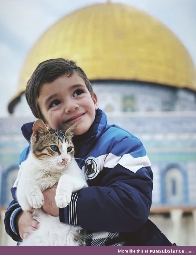 A Palestinian boy with his cat