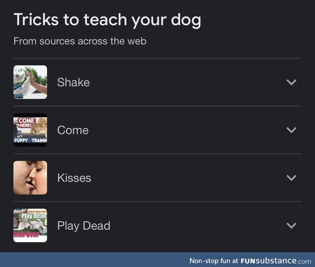 Fun tricks to teach your dog!