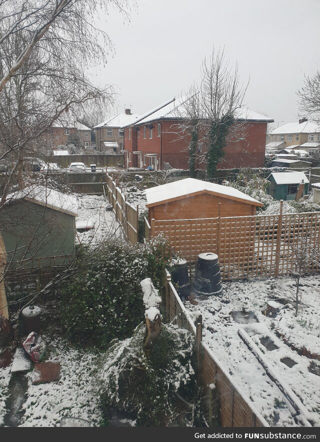 Current British weather, one week into March. Southwest UK