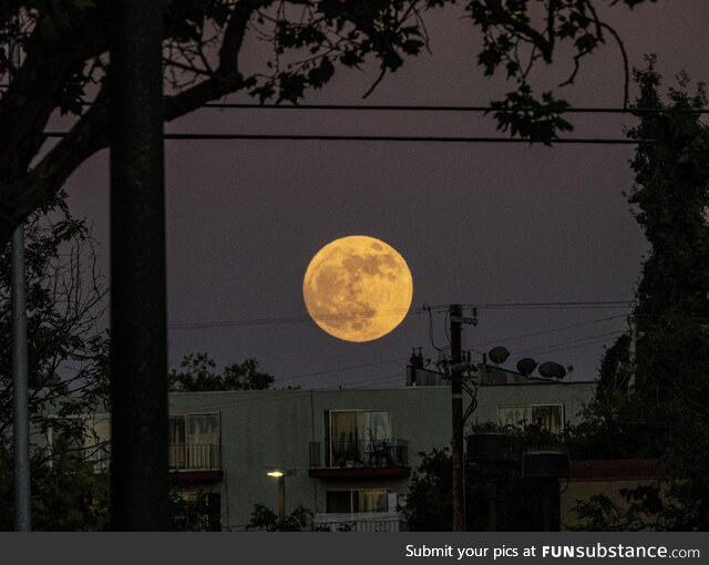 Super moon rising over Foothill Blvd. In Oakland [OC]
