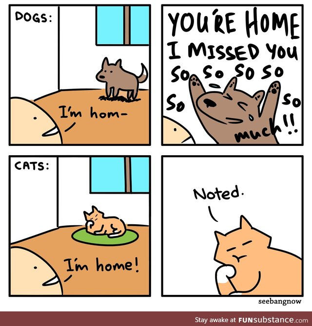 Coming home to pets