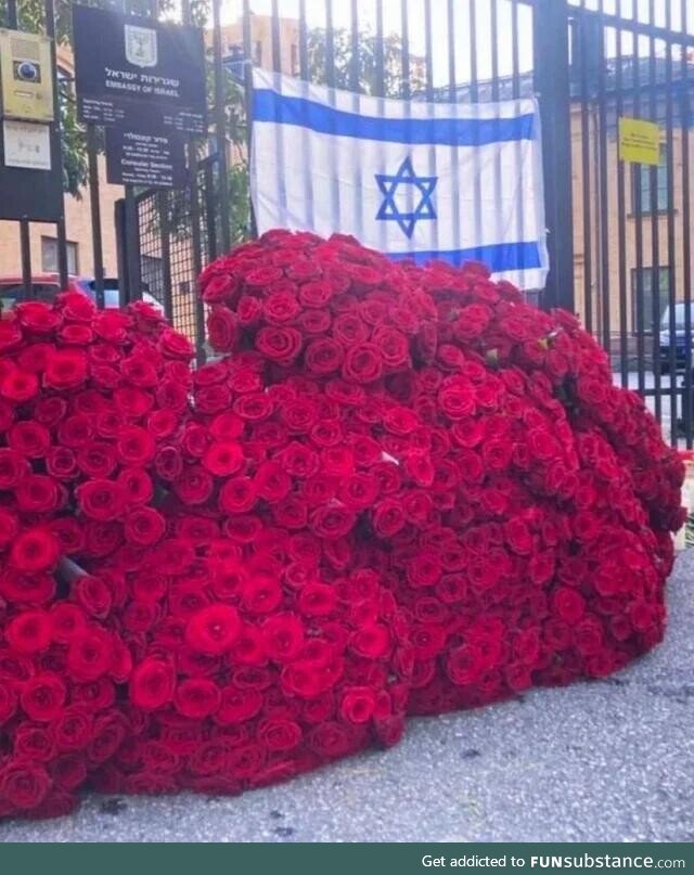 A man placed 900 roses near the Israeli embassy in Stockholm to commemorate the 900