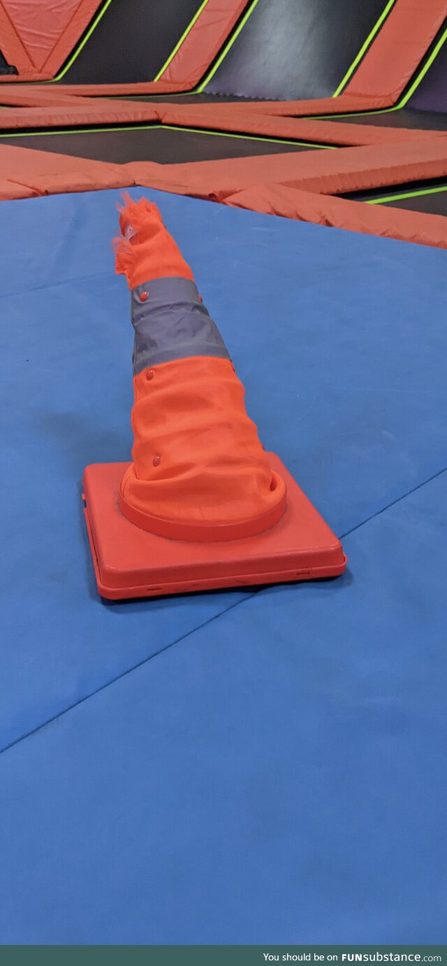 The sorting cone