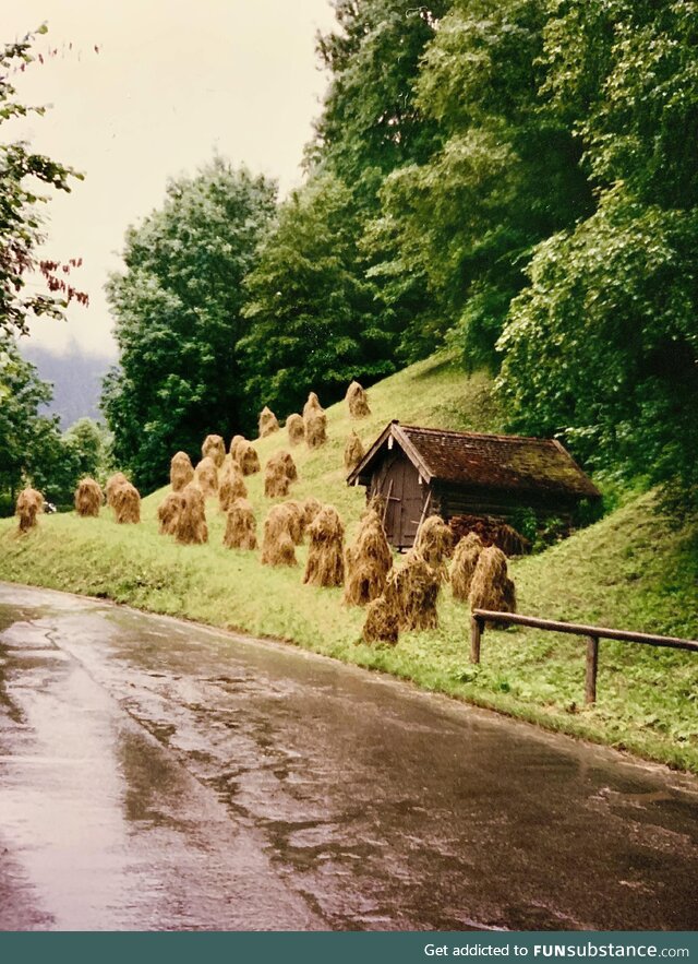Took this photograph in the late 80’s with a Minolta Maxxim 7000 somewhere in Germany