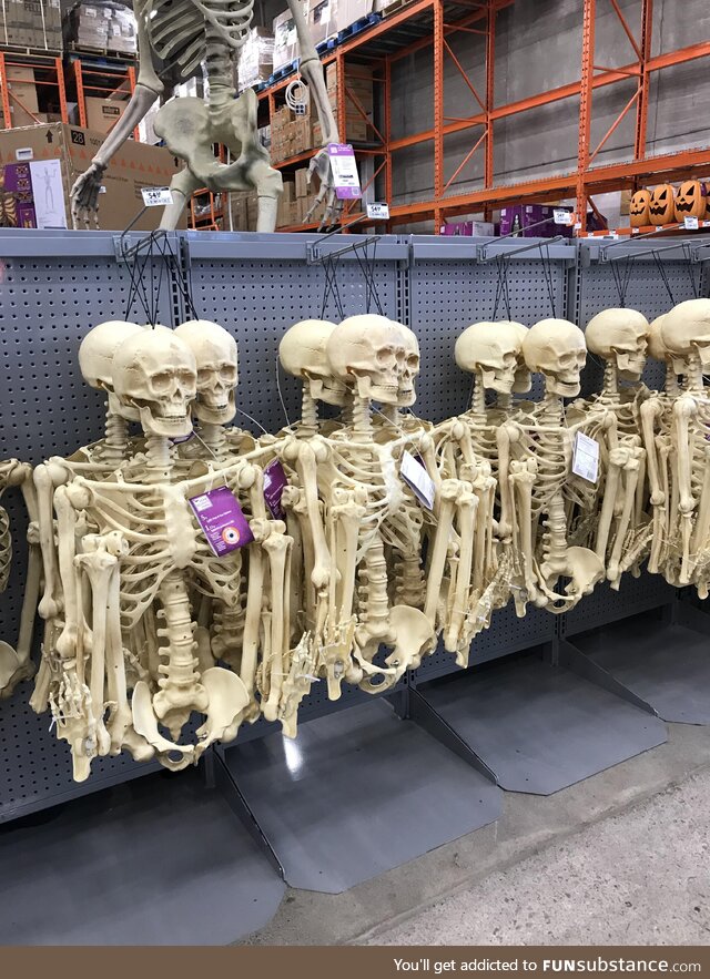 Birthing Skeletons at local building store