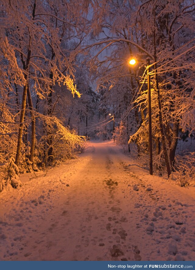 Winter in Finland [OC]