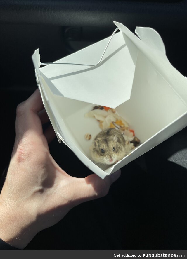Local pet shop has a questionable method for sending home hamsters…
