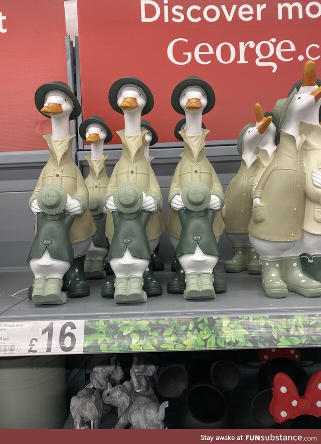 Not so sure about these garden ornaments