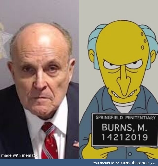 Mr burns