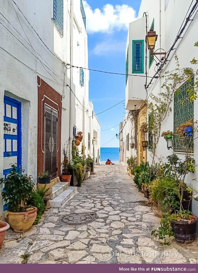 The old city (Mahdia - Tunisia)