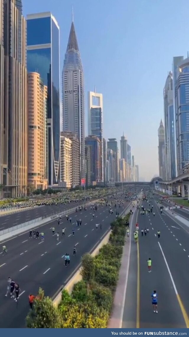 Dubai car free day