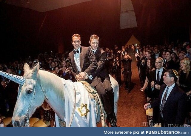 A gay jewish wedding where they rode in on a horse dressed as a unicorn