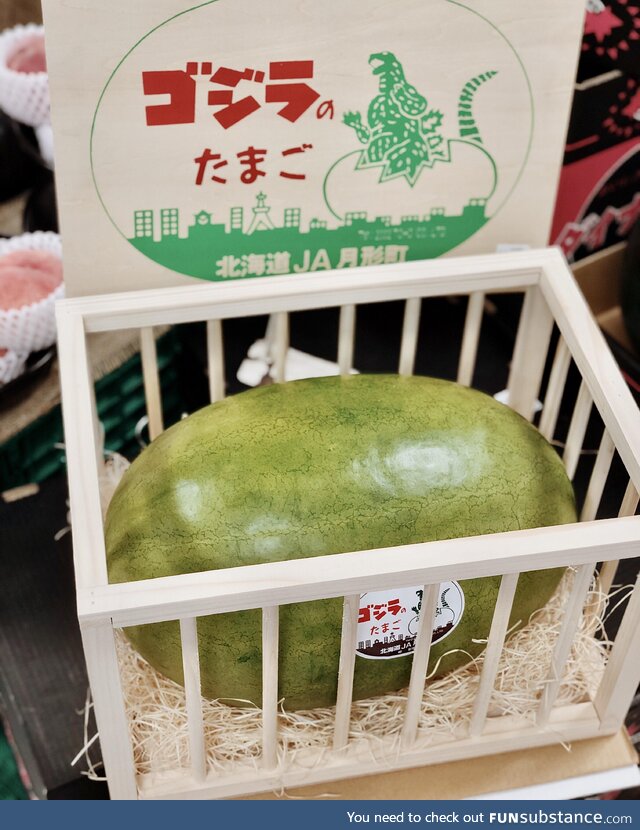 At our supermarket, there’s a large watermelon in a cage. The sign says,