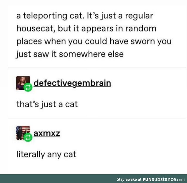 So a normal cat then