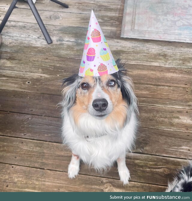 [OC] My girl turns 7 today! Wish her a happy birthday!