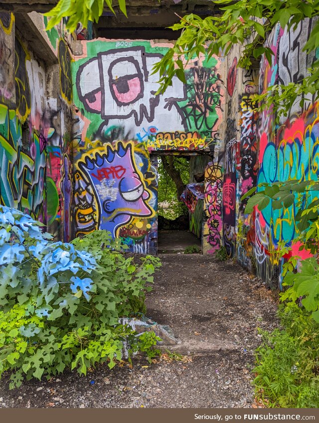 Graffiti pier, pennsylvania [oc]
