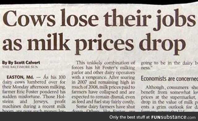 Ah those poor cows