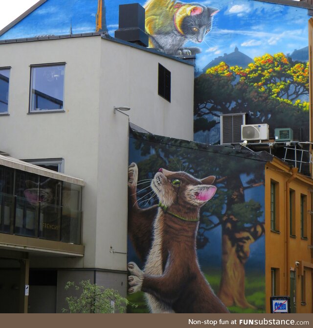 The cat wall in uppsala, sweden