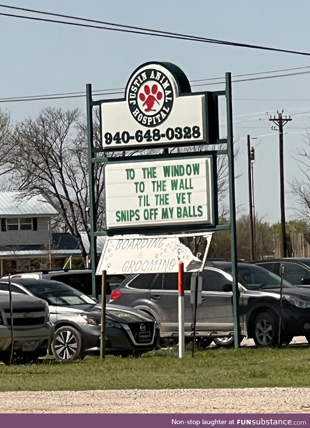 Caught this driving by my local veterinarian