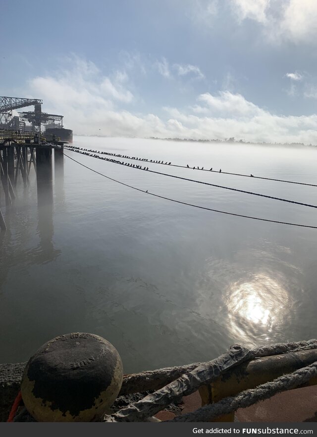 Mississippi River on a foggy morning