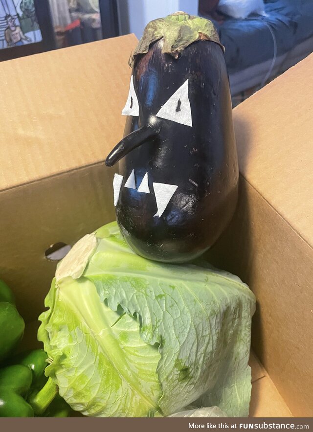 My girlfriend came home with a weird eggplant, I had a vision