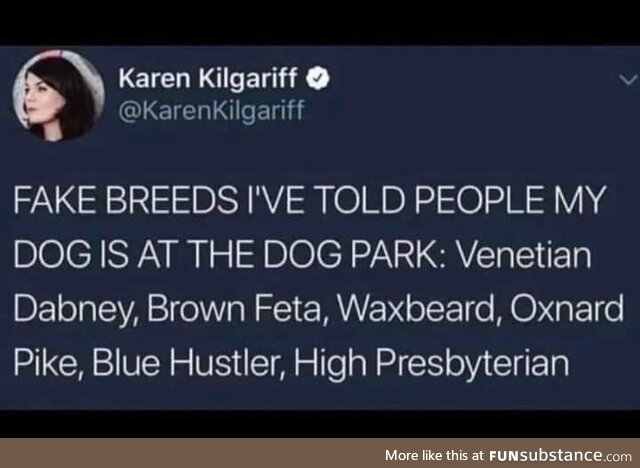 Dogs are a social construct