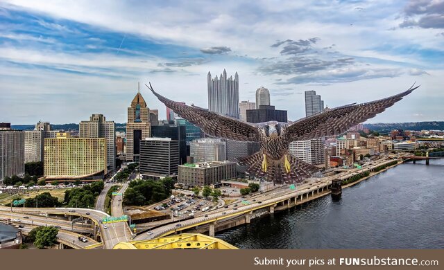 This bird going after a drone over Pittsburgh