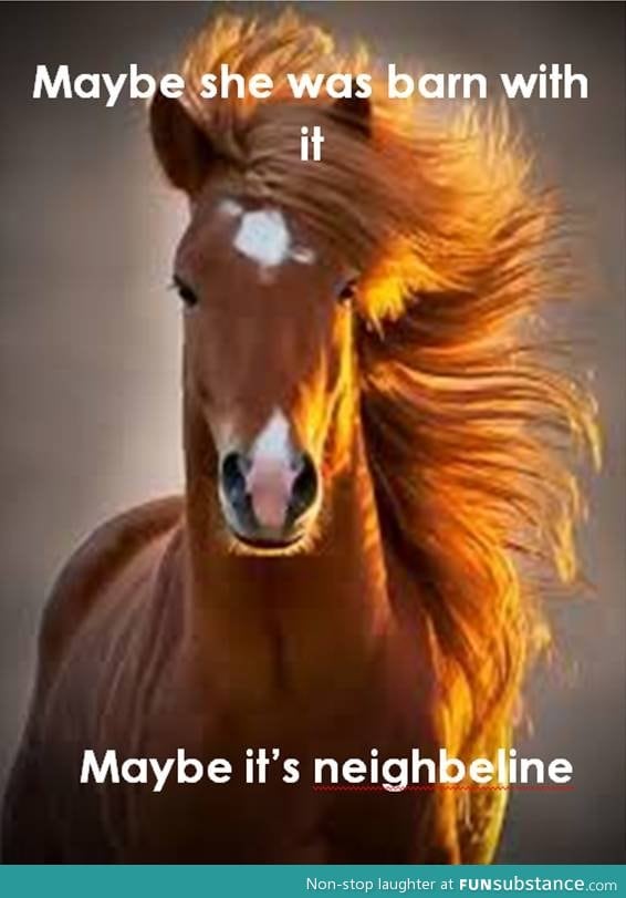 One photogenic horse