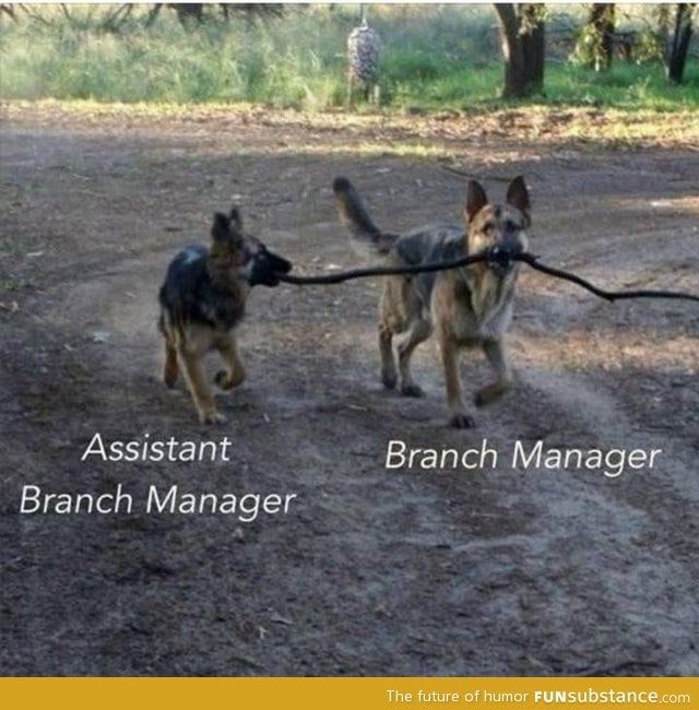 Branch management