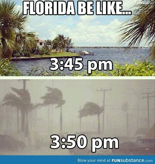 Florida be like