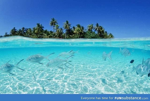 Clear water of the maldives