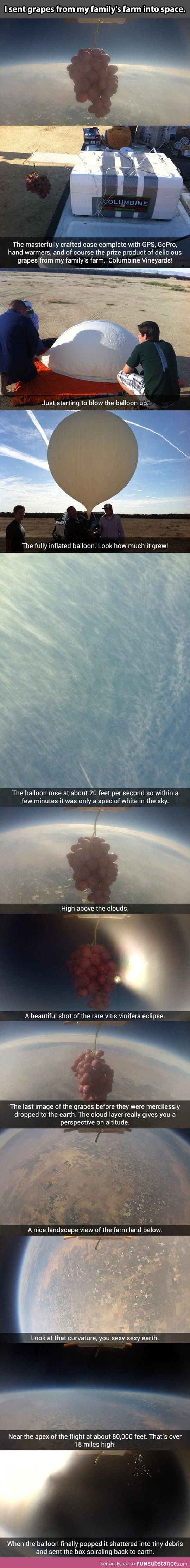I sent grapes into space