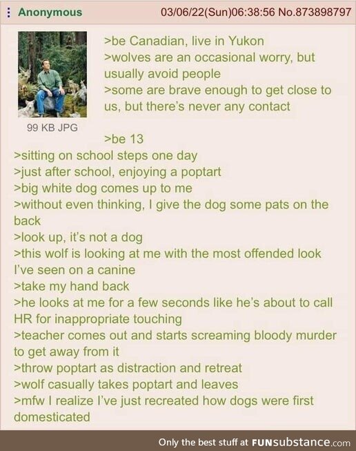 Anon witnesses a wolf