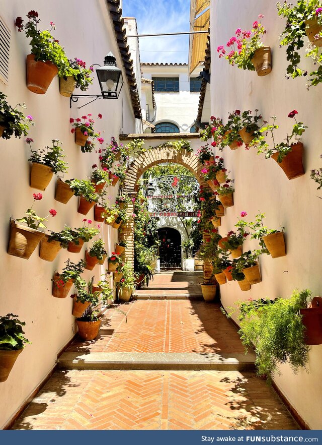 Hanging flower baskets on a side street in Cordoba, Spain