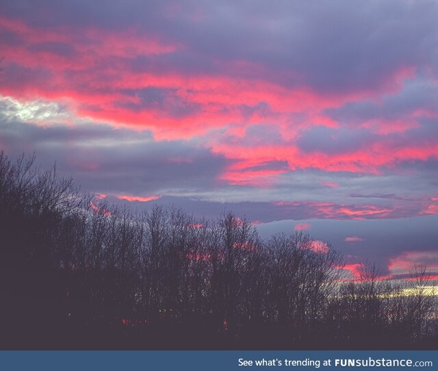 [OC] The sunset today in NJ was so red I almost dropped my camera when I turned around