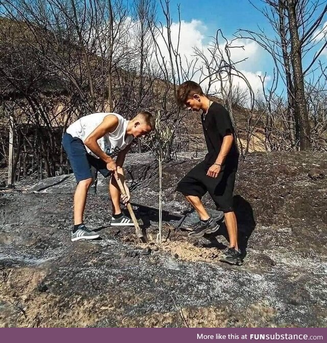 Greek teenagers planting an olive tree in the now burnt Olympia, Greece. Birthplace of