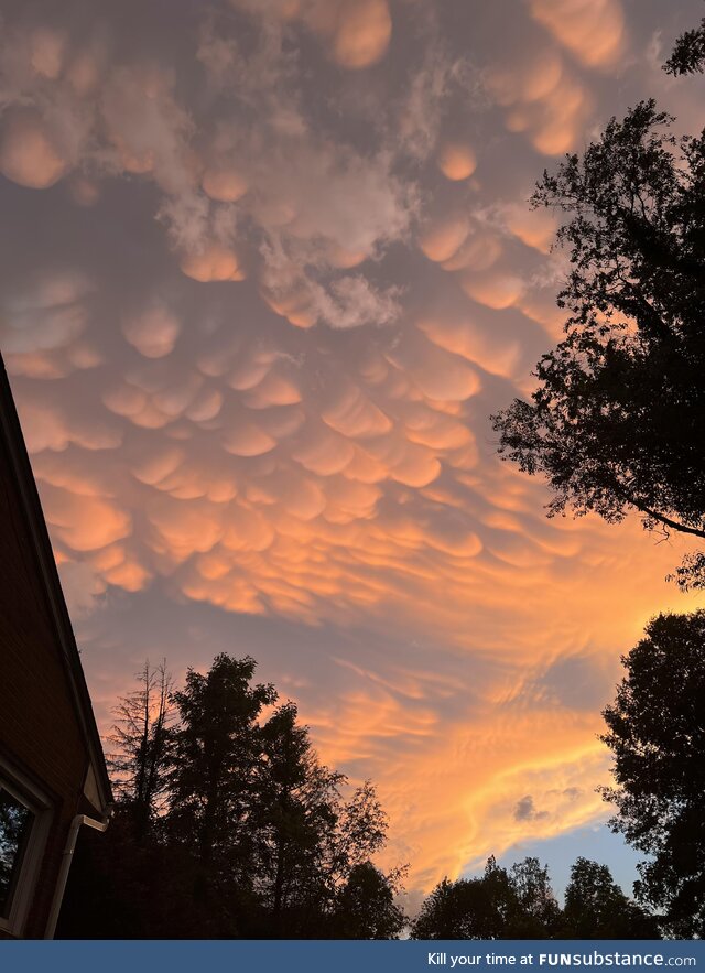 First time seeing Mammatus clouds in person and the sunset brought the show! [OC]