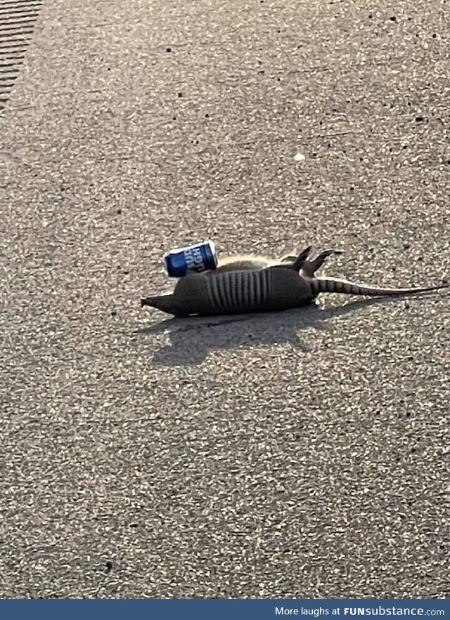 Dead armadillo holding a beer can near my hometown