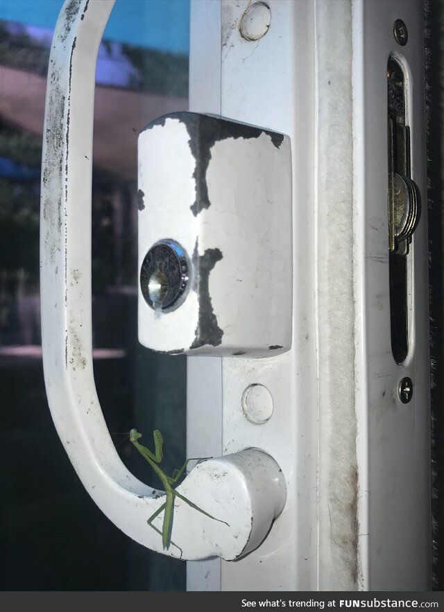Upgraded our door security
