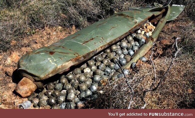 A sleeping cluster bomb and it's bomblet babys in the wild