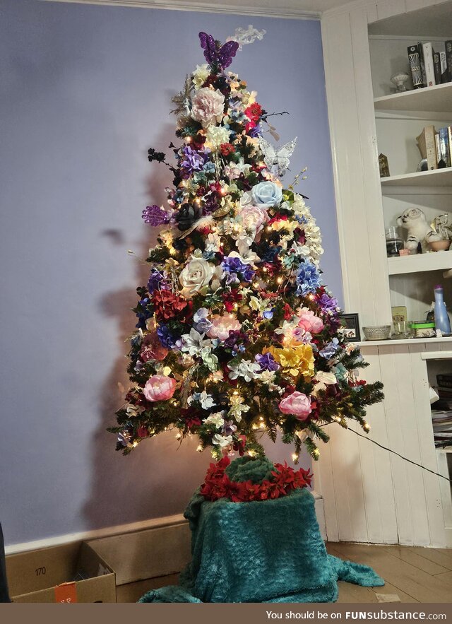 My Christmas tree. We couldn't afford Christmas decorations, so used stuff I had already
