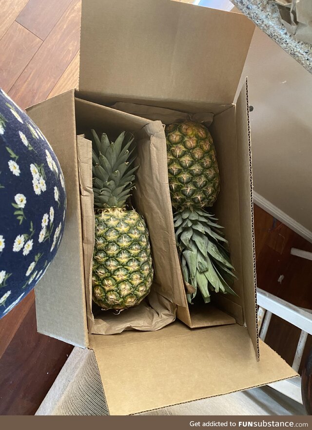 [OC] my grandma sends me fruit ever since finding out about my pregnancy. This week