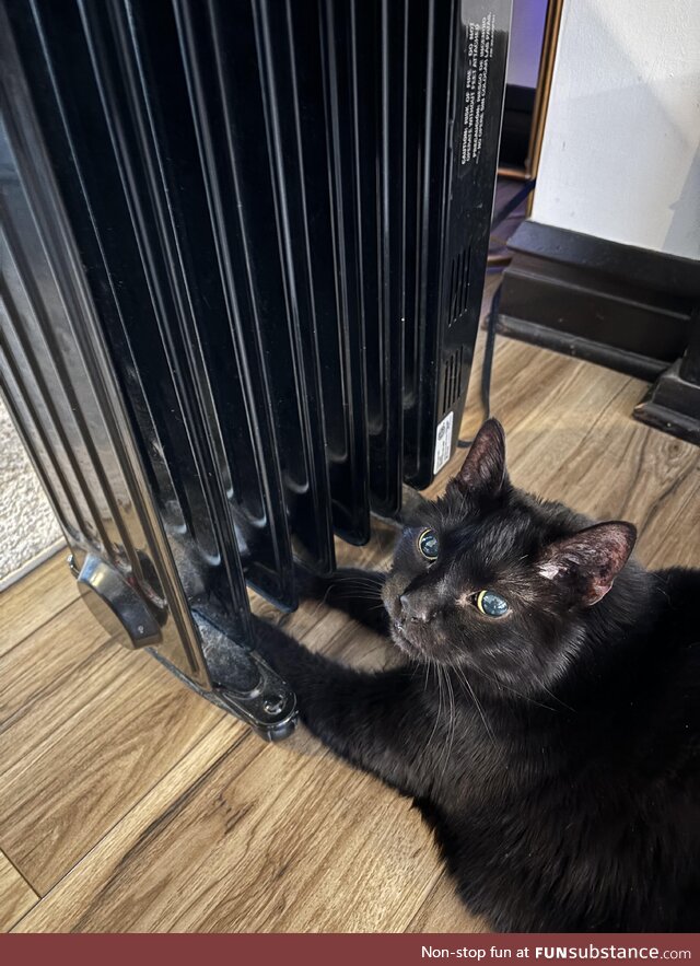 Buddy loves to put his arms under the portable heater
